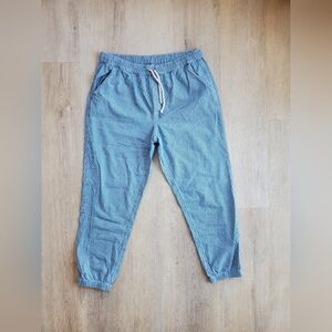 Aerie Blue Ankle Pants